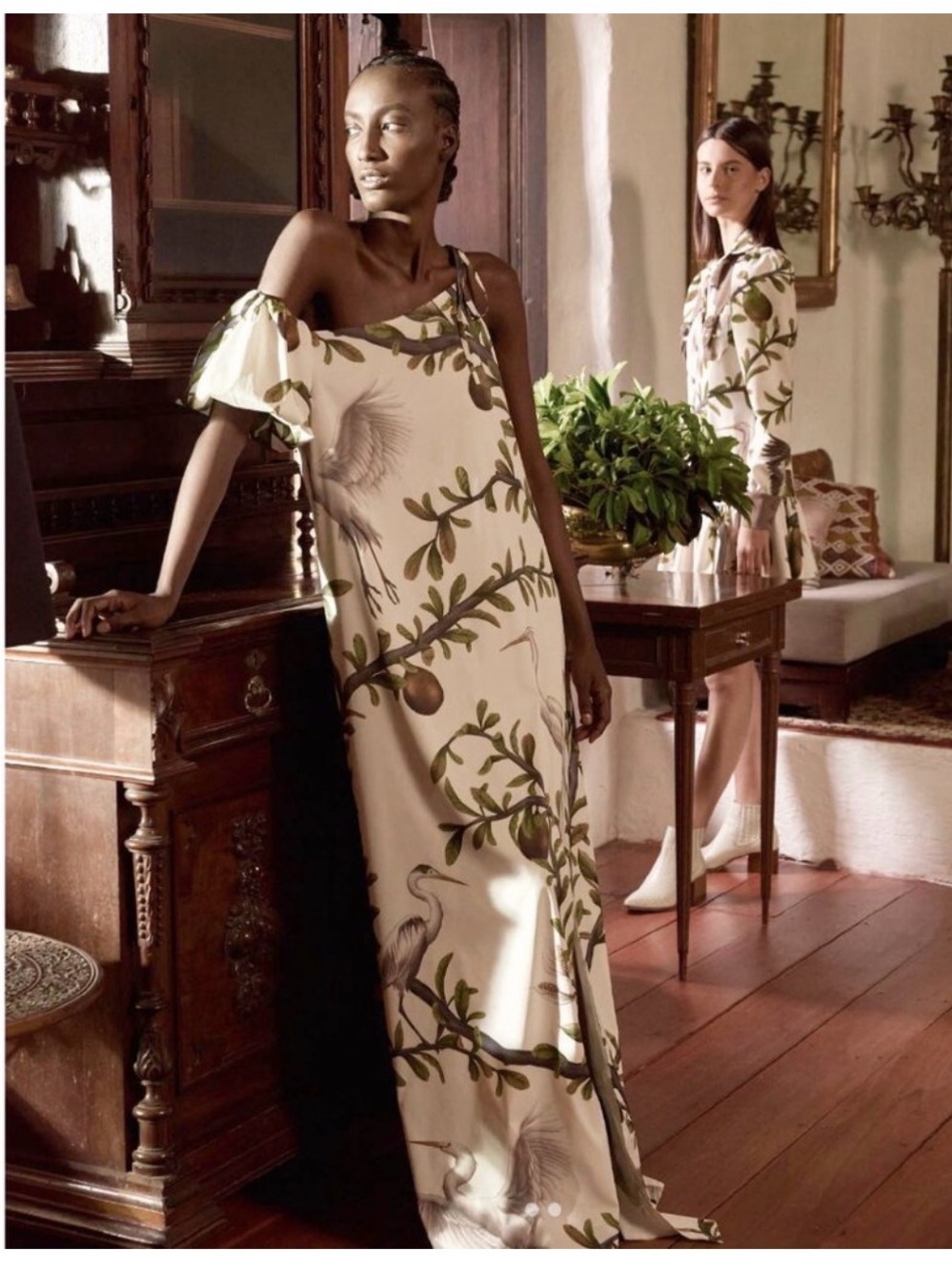 Zunilda Gutierrez’s  Heron & Lily Botanical Maxi Dress.